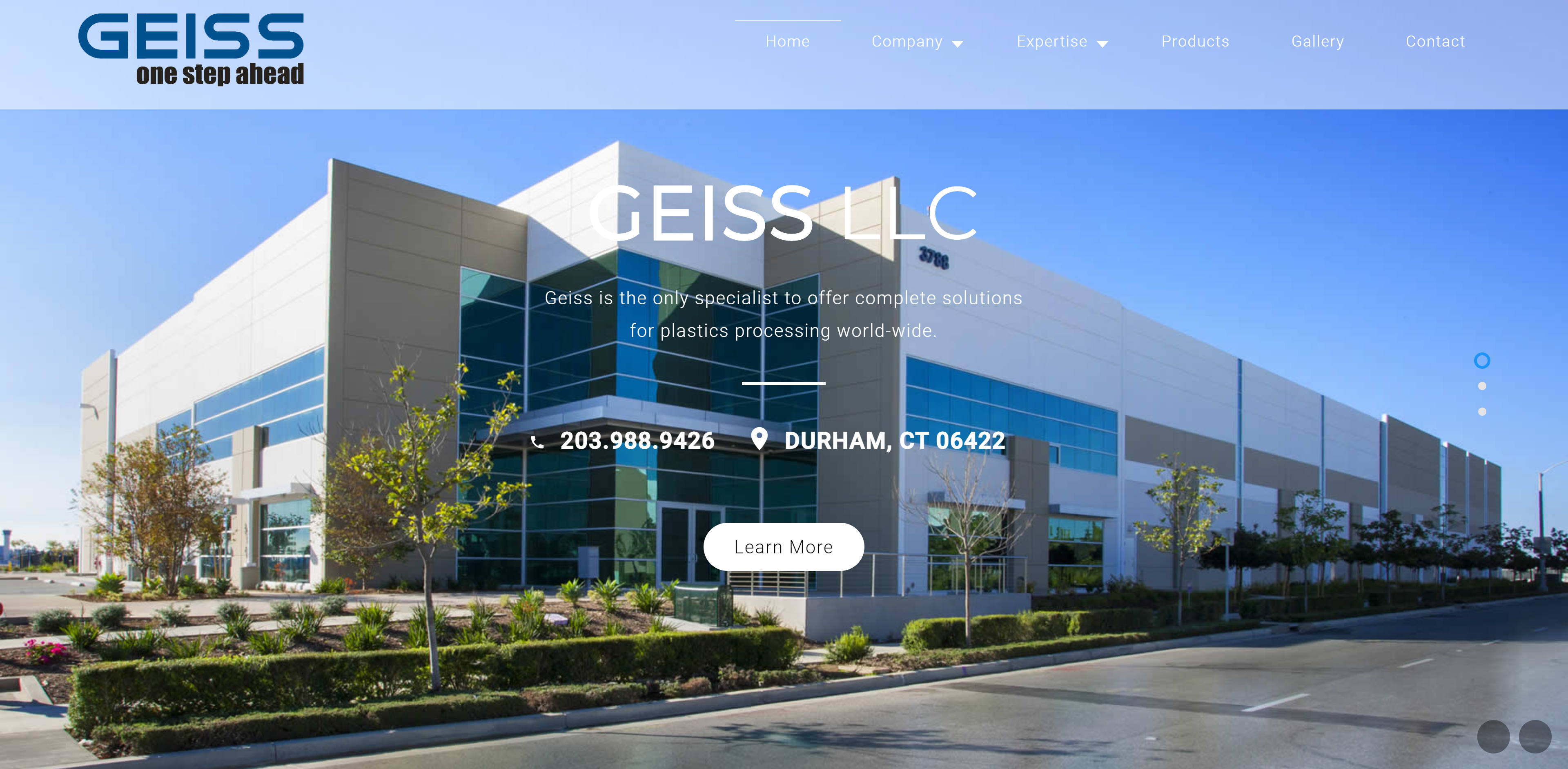 GEISS LLC